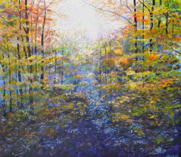 wald 80 x 70 1200 jpg 2